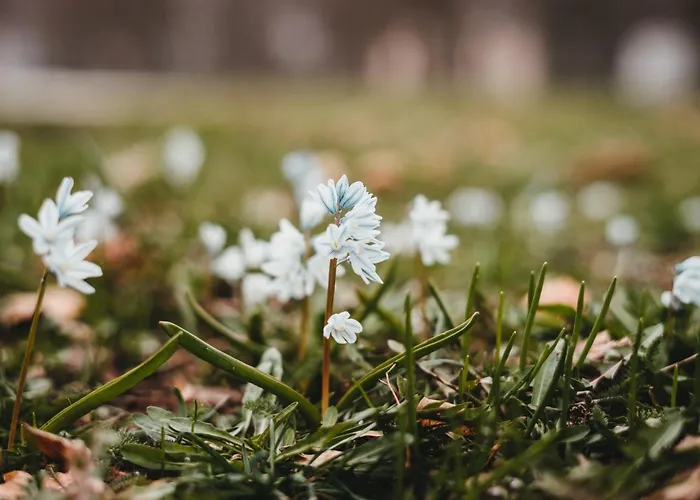 Appartamento Stadtblick *