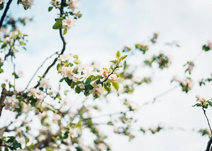 Stadtblick Pfullendorf
