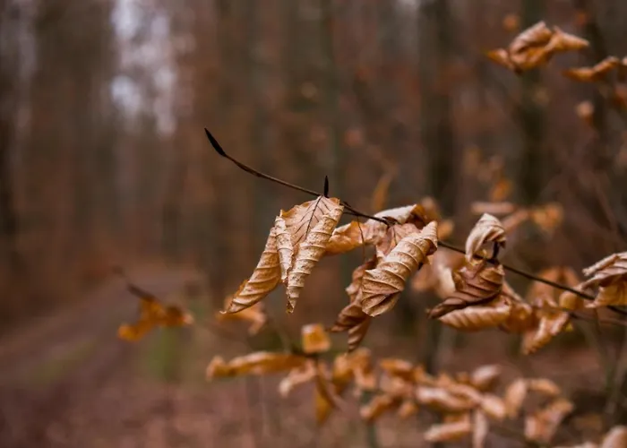 Stadtblick Appartamento *